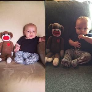 Meet your Posher, Fred